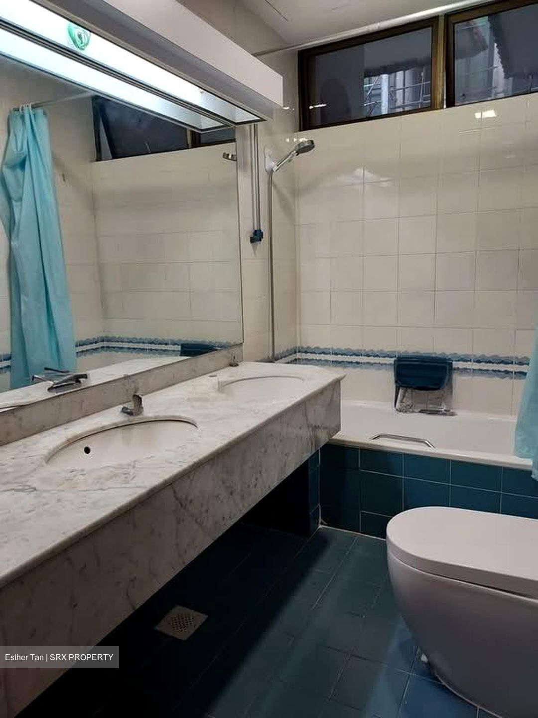 Jervois Grove (D10), Apartment #547040201